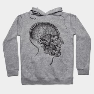 Head anatomy Hoodie